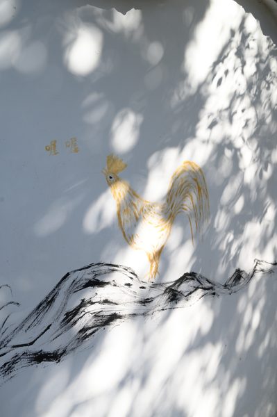 dove 作品