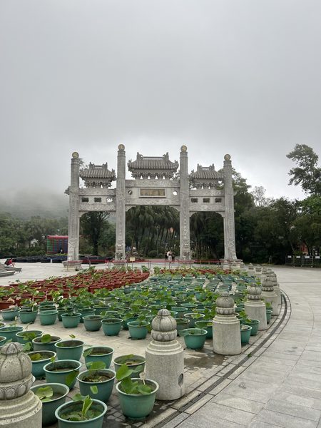 荀令 作品